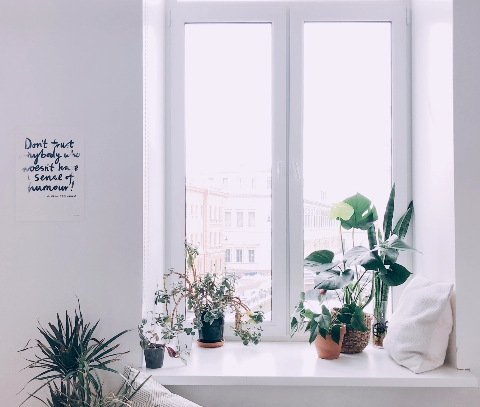 Fenster